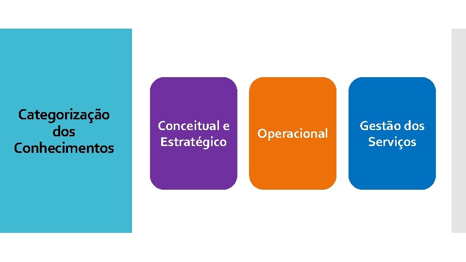 Categorização dos Conhecimentos Conceitual e Estratégico Operacional Gestão dos Serviços 