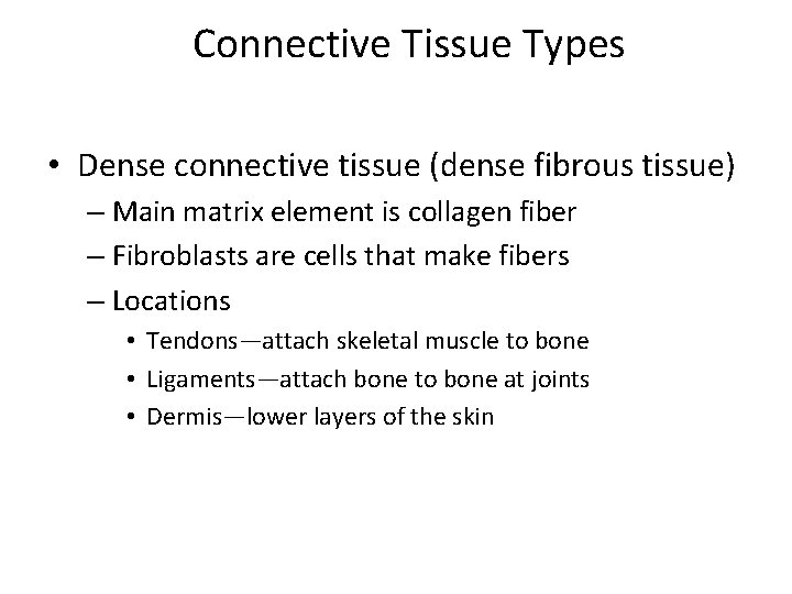 Connective Tissue Types • Dense connective tissue (dense fibrous tissue) – Main matrix element