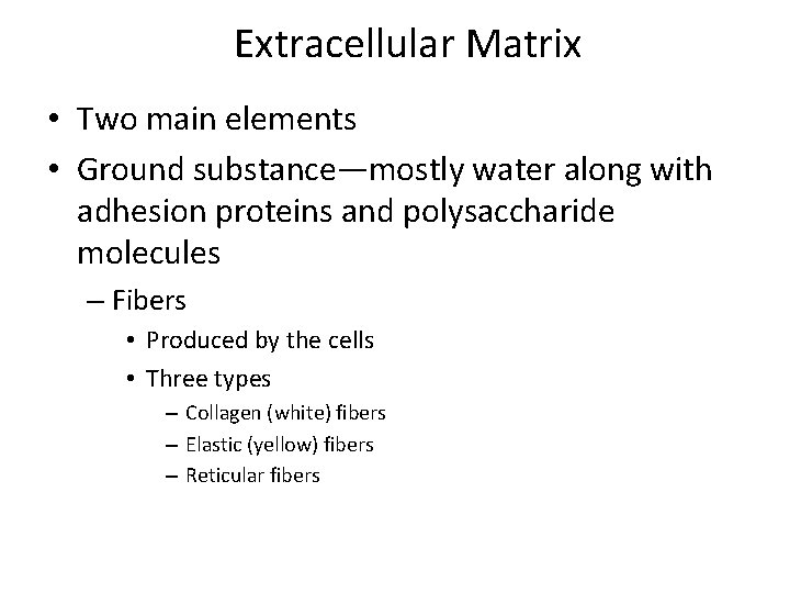 Extracellular Matrix • Two main elements • Ground substance—mostly water along with adhesion proteins