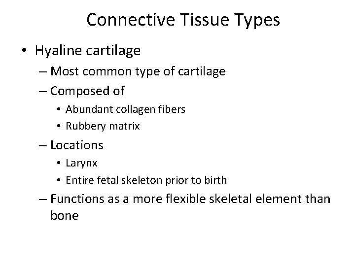 Connective Tissue Types • Hyaline cartilage – Most common type of cartilage – Composed