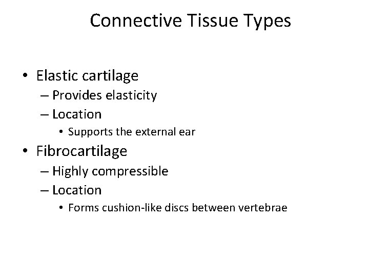 Connective Tissue Types • Elastic cartilage – Provides elasticity – Location • Supports the
