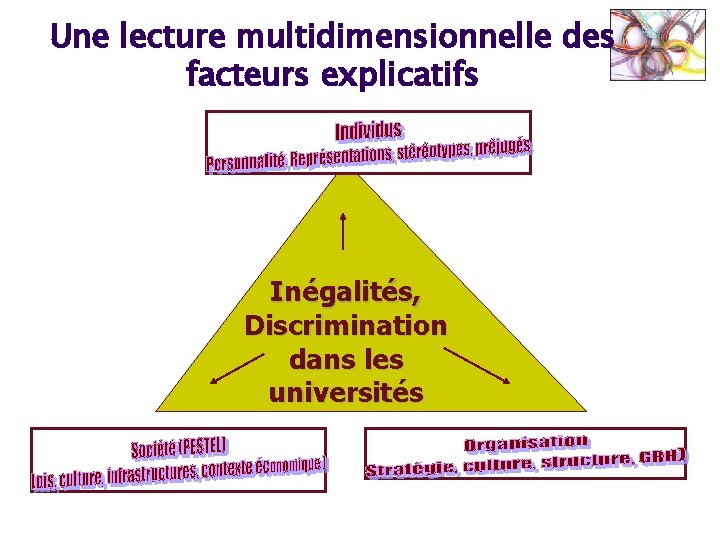 Une lecture multidimensionnelle des facteurs explicatifs Inégalités, Discrimination dans les universités ©Anni e Corn