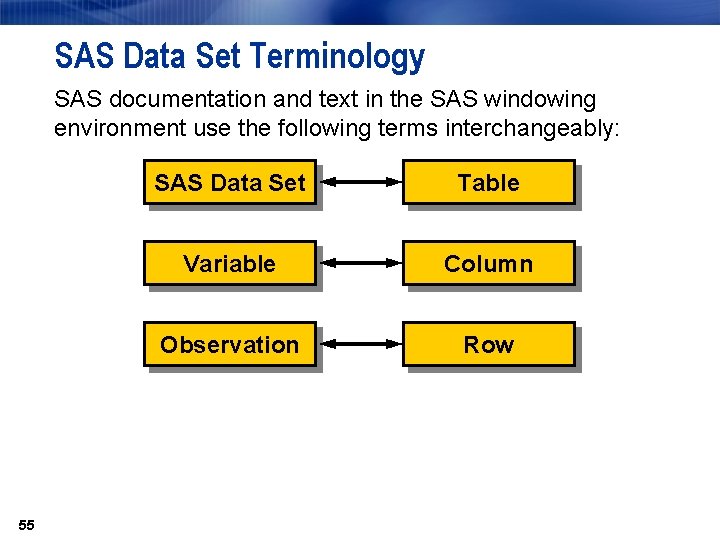 SAS Data Set Terminology SAS documentation and text in the SAS windowing environment use