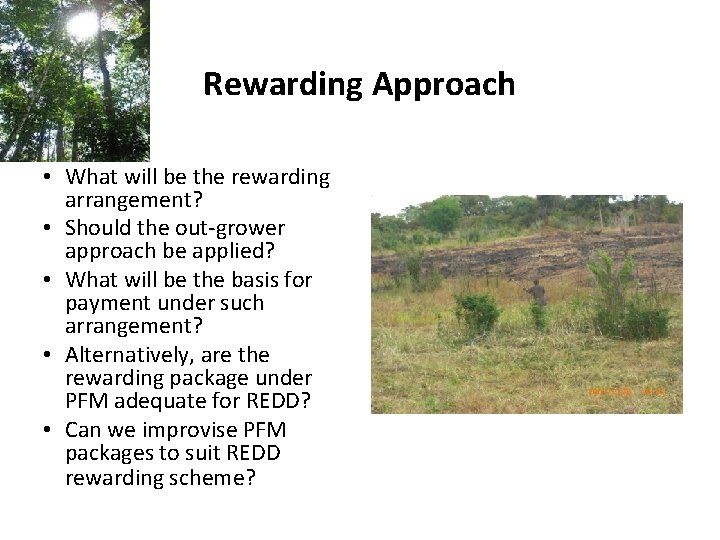 Rewarding Approach • What will be the rewarding arrangement? • Should the out-grower approach