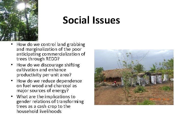 Social Issues • How do we control land grabbing and marginalization of the poor
