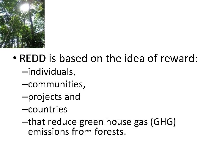  • REDD is based on the idea of reward: –individuals, –communities, –projects and