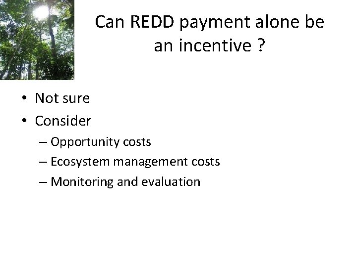 Can REDD payment alone be an incentive ? • Not sure • Consider –