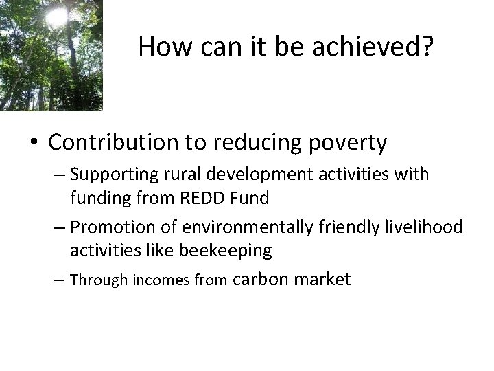 How can it be achieved? • Contribution to reducing poverty – Supporting rural development