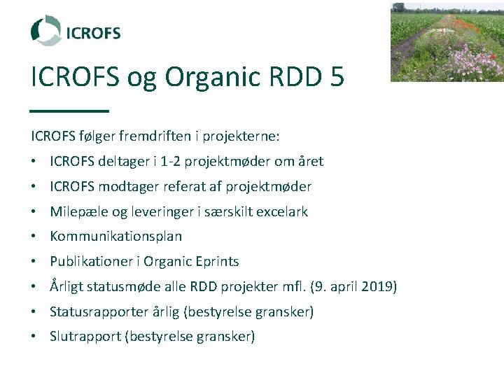 ICROFS og Organic RDD 5 ICROFS følger fremdriften i projekterne: • ICROFS deltager i