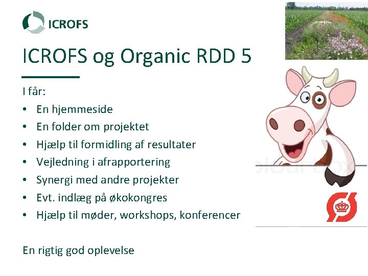 ICROFS og Organic RDD 5 I får: • En hjemmeside • En folder om