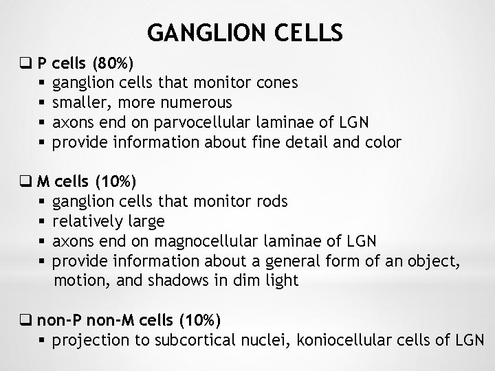 GANGLION CELLS q P cells (80%) § ganglion cells that monitor cones § smaller,