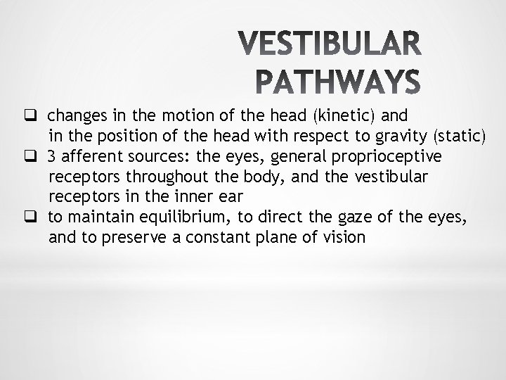 q changes in the motion of the head (kinetic) and in the position of