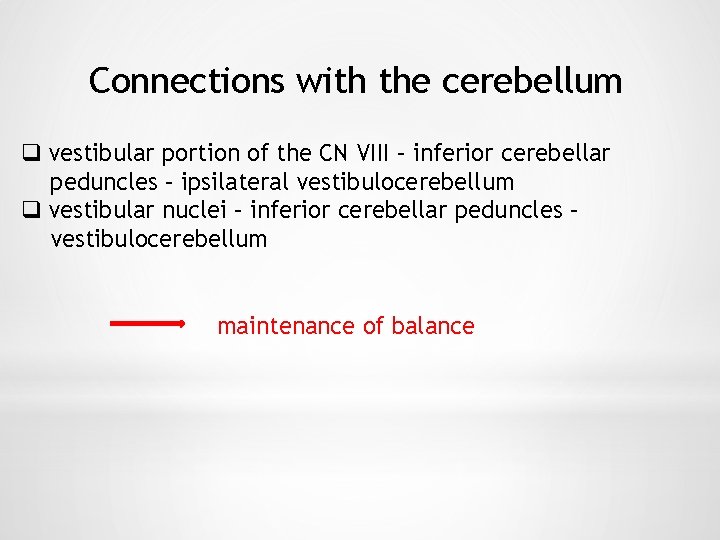 Connections with the cerebellum q vestibular portion of the CN VIII – inferior cerebellar