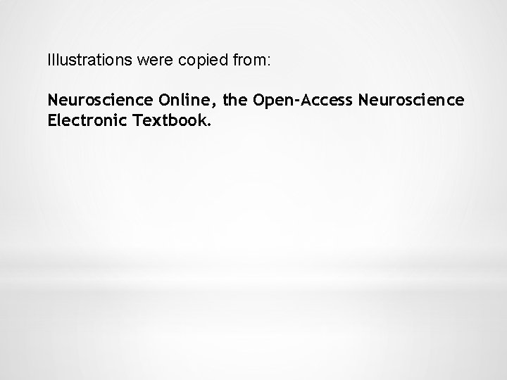 Illustrations were copied from: Neuroscience Online, the Open-Access Neuroscience Electronic Textbook. 