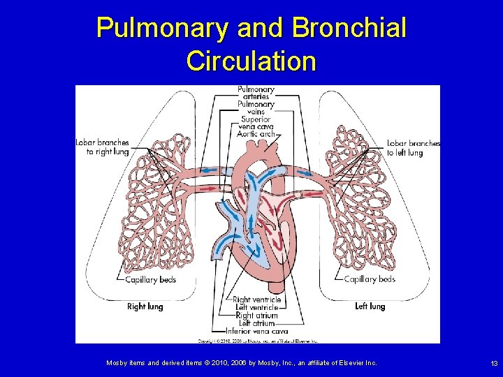 Pulmonary and Bronchial Circulation Mosby items and derived items © 2010, 2006 by Mosby,