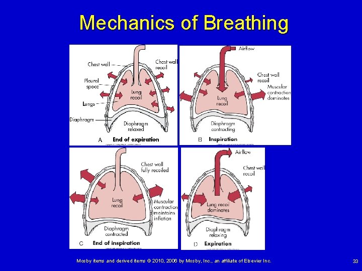 Mechanics of Breathing Mosby items and derived items © 2010, 2006 by Mosby, Inc.