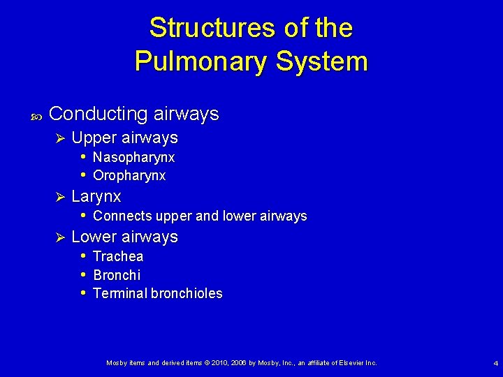 Structures of the Pulmonary System Conducting airways Upper airways • Nasopharynx • Oropharynx Ø