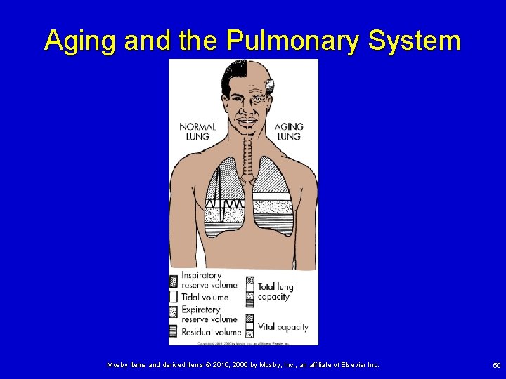 Aging and the Pulmonary System Mosby items and derived items © 2010, 2006 by