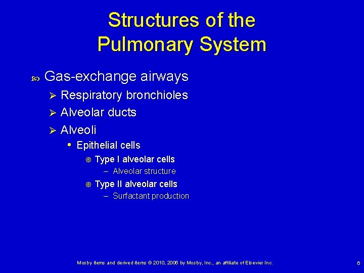 Structures of the Pulmonary System Gas-exchange airways Respiratory bronchioles Ø Alveolar ducts Ø Alveoli