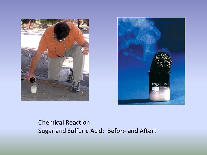 Chemical Reaction Sugar and Sulfuric Acid: Before and After! 