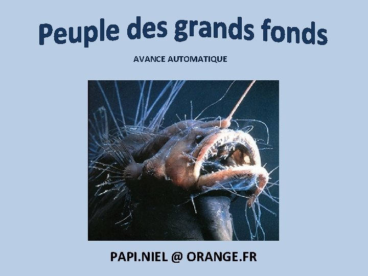 AVANCE AUTOMATIQUE PAPI. NIEL @ ORANGE. FR 