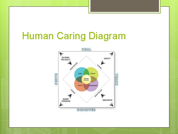 Human Caring Diagram 