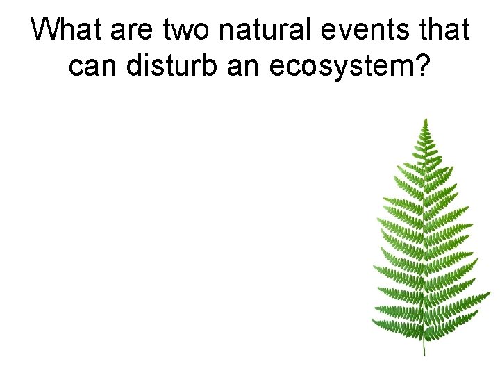 What are two natural events that can disturb an ecosystem? 