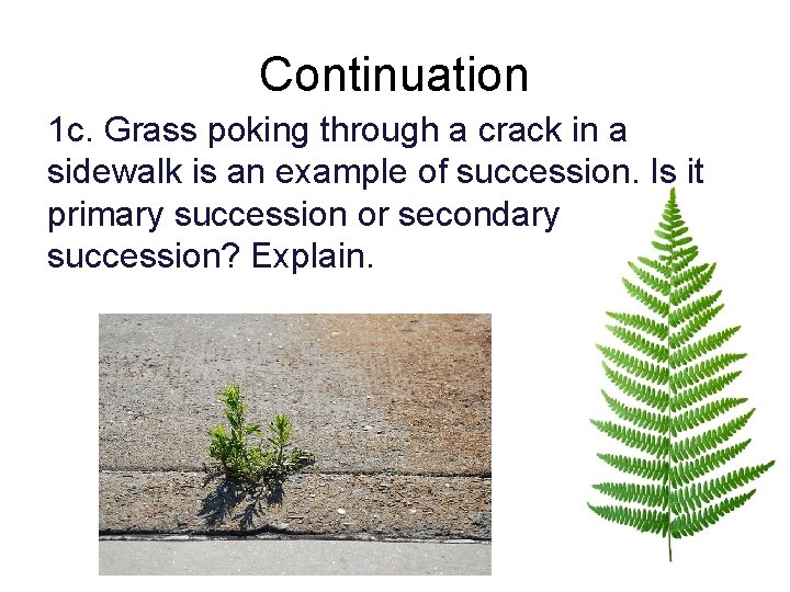 Continuation 1 c. Grass poking through a crack in a sidewalk is an example