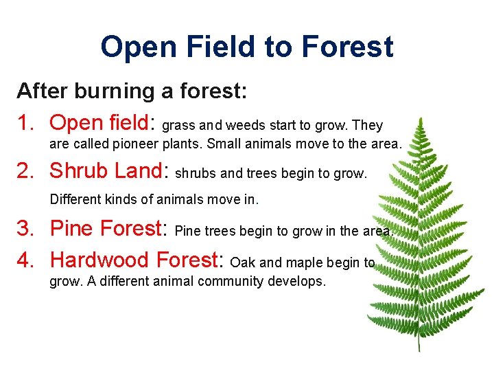 Open Field to Forest After burning a forest: 1. Open field: grass and weeds