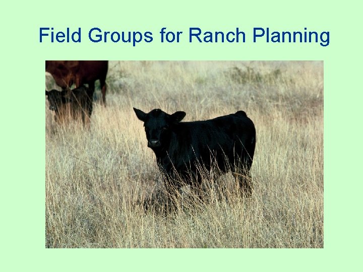 Field Groups for Ranch Planning 