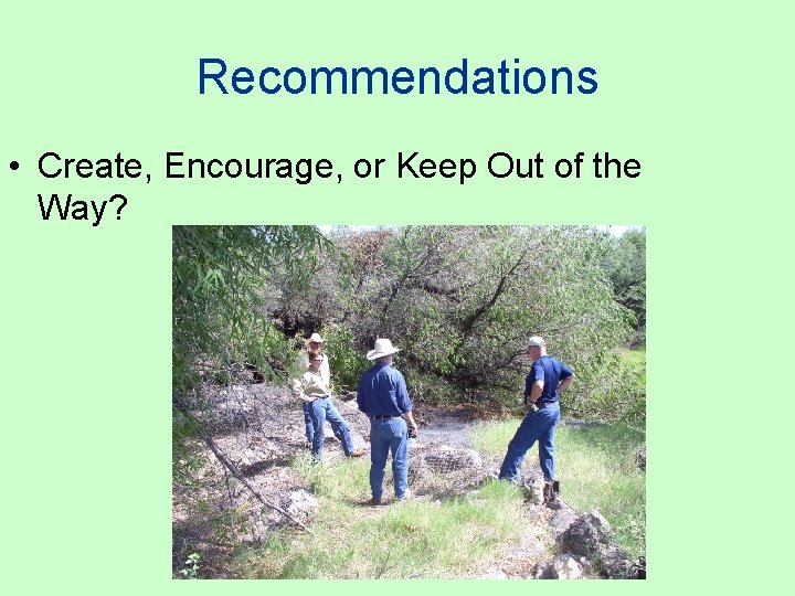 Recommendations • Create, Encourage, or Keep Out of the Way? 