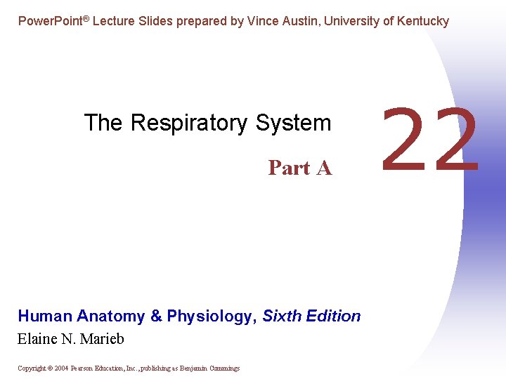 Power. Point® Lecture Slides prepared by Vince Austin, University of Kentucky The Respiratory System