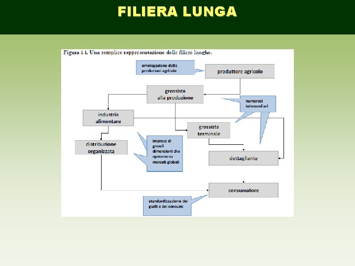 FILIERA LUNGA 