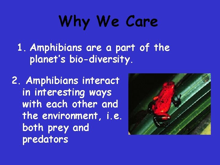 Why We Care 1. Amphibians are a part of the planet’s bio-diversity. 2. Amphibians Why We Care 1. Amphibians are a part of the planet’s bio-diversity. 2. Amphibians