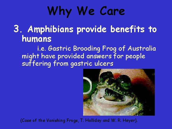 Why We Care 3. Amphibians provide benefits to humans i. e. Gastric Brooding Frog Why We Care 3. Amphibians provide benefits to humans i. e. Gastric Brooding Frog