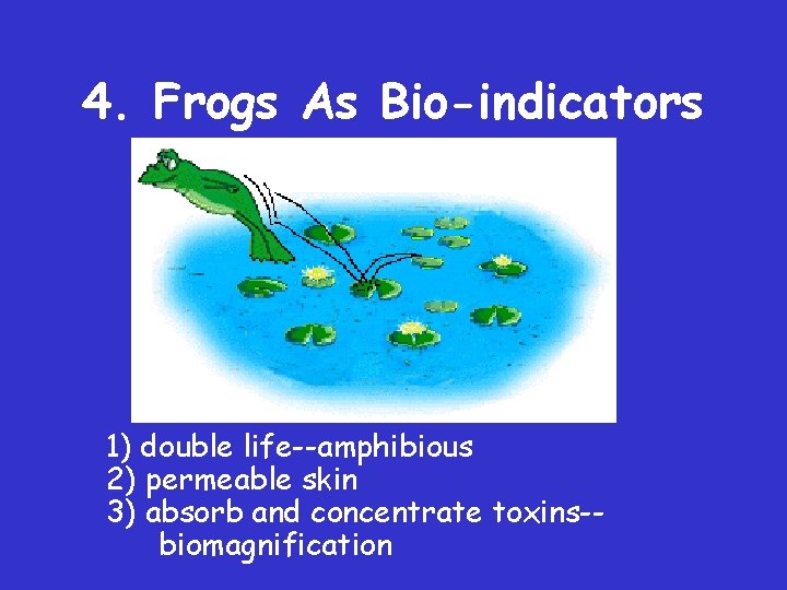 4. Frogs As Bio-indicators 1) double life--amphibious 2) permeable skin 3) absorb and concentrate 4. Frogs As Bio-indicators 1) double life--amphibious 2) permeable skin 3) absorb and concentrate