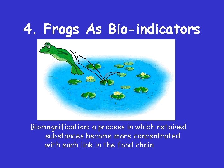 4. Frogs As Bio-indicators Biomagnification: a process in which retained substances become more concentrated 4. Frogs As Bio-indicators Biomagnification: a process in which retained substances become more concentrated