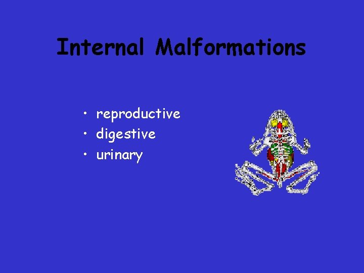 Internal Malformations • reproductive • digestive • urinary Internal Malformations • reproductive • digestive • urinary