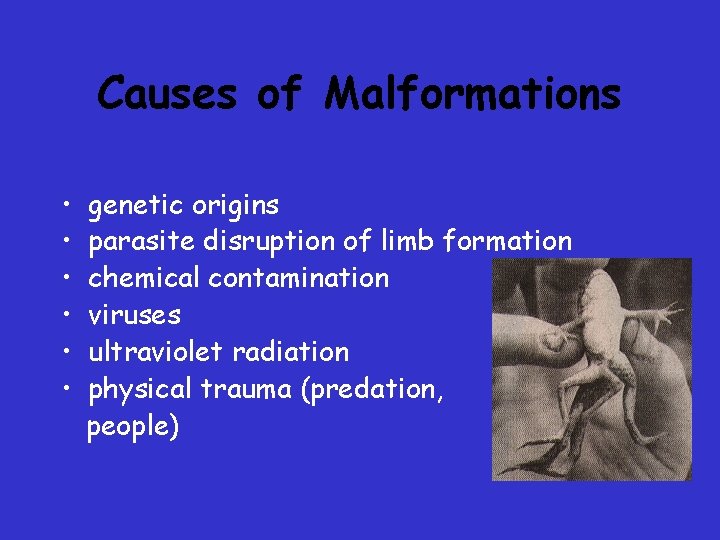 Causes of Malformations • • • genetic origins parasite disruption of limb formation chemical Causes of Malformations • • • genetic origins parasite disruption of limb formation chemical