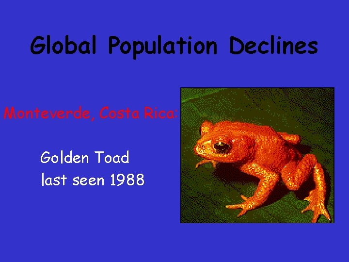 Global Population Declines Monteverde, Costa Rica: Golden Toad last seen 1988 Global Population Declines Monteverde, Costa Rica: Golden Toad last seen 1988