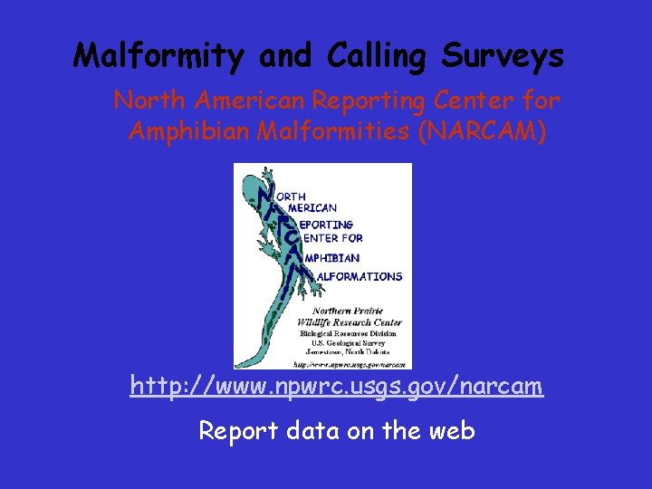 Malformity and Calling Surveys North American Reporting Center for Amphibian Malformities (NARCAM) http: //www. Malformity and Calling Surveys North American Reporting Center for Amphibian Malformities (NARCAM) http: //www.