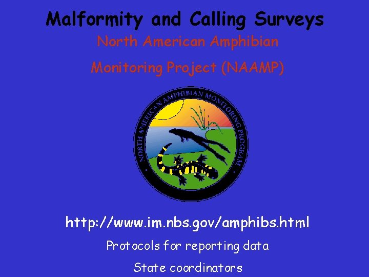 Malformity and Calling Surveys North American Amphibian Monitoring Project (NAAMP) http: //www. im. nbs. Malformity and Calling Surveys North American Amphibian Monitoring Project (NAAMP) http: //www. im. nbs.