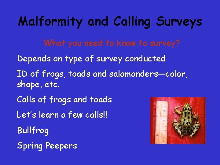 Malformity and Calling Surveys What you need to know to survey? Depends on type Malformity and Calling Surveys What you need to know to survey? Depends on type