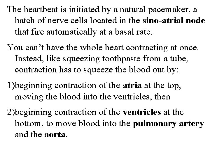 The heartbeat is initiated by a natural pacemaker, a batch of nerve cells located