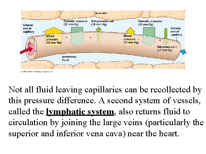 Not all fluid leaving capillaries can be recollected by this pressure difference. A second