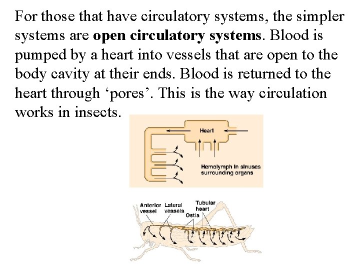 For those that have circulatory systems, the simpler systems are open circulatory systems. Blood