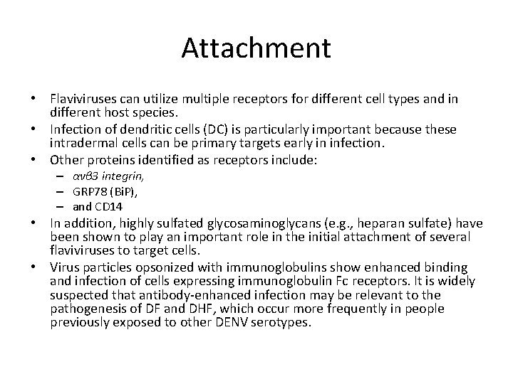 Attachment • Flaviviruses can utilize multiple receptors for different cell types and in different