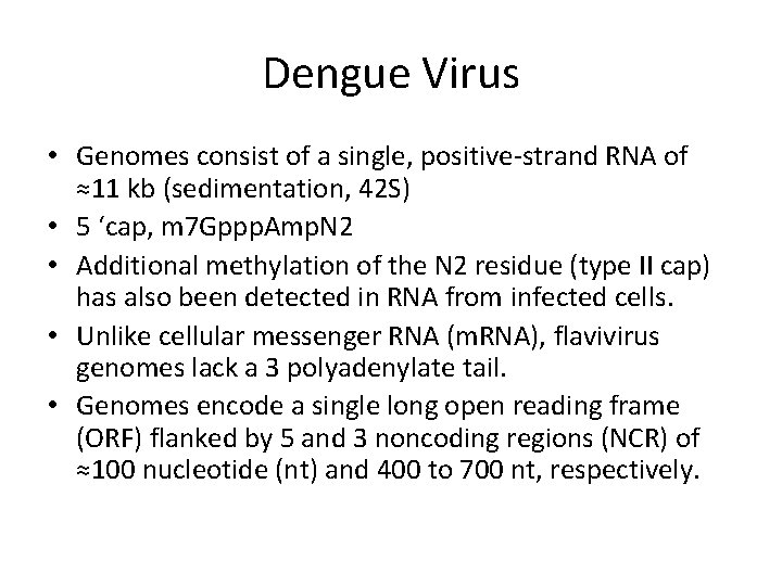 Dengue Virus • Genomes consist of a single, positive-strand RNA of ≈11 kb (sedimentation,