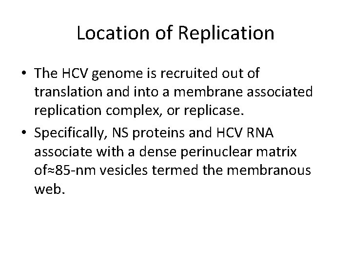 Location of Replication • The HCV genome is recruited out of translation and into