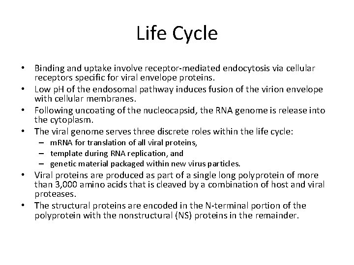 Life Cycle • Binding and uptake involve receptor-mediated endocytosis via cellular receptors specific for